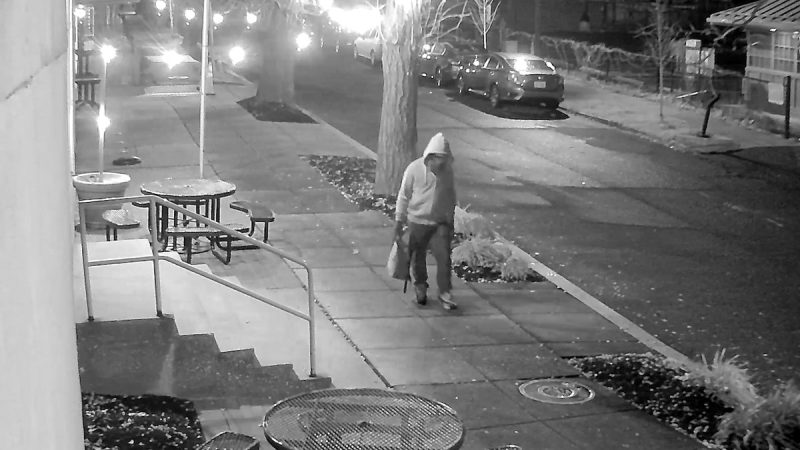 Who is Brian Cole Jr, the DC pipe bomb suspect?